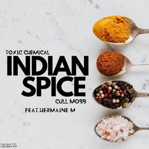 Indian Spice (feat. Toxic Chemical & Hermaine M)
