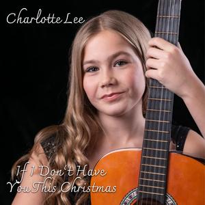 If I Dont Have You This Christmas