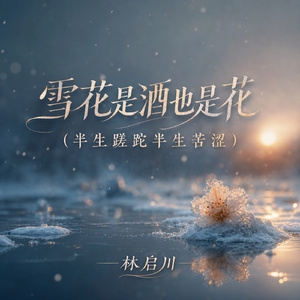 雪花是酒也是花(半生蹉跎半生苦涩)