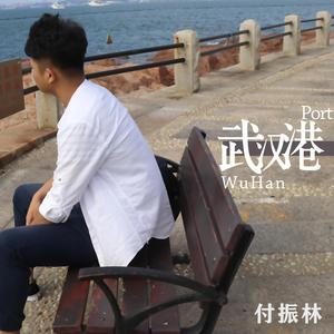 武汉港 (正式版)