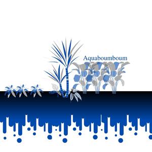 Aquaboumboum