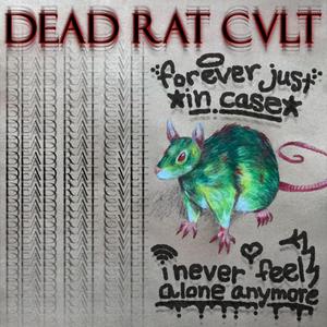 I NEVER FEEL ALONE ANYMORE