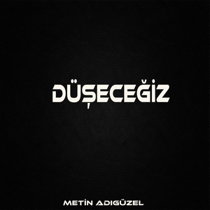 DÜŞECEĞİZ