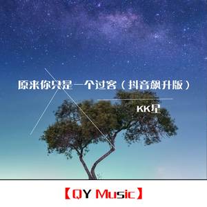 他只是经过 (抖音原版)