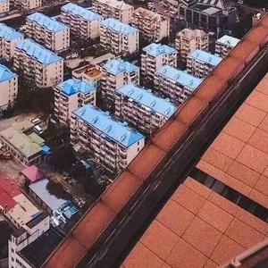 孤单的勇敢 伴奏