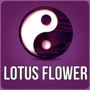 Relax Music (Native American Flute)