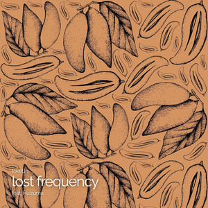 Lost Frequency