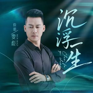 沉浮一生dj版