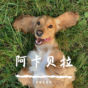 我相信 （阿卡贝拉人声版）