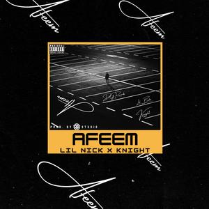 AFEEM