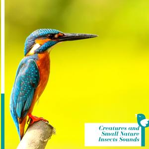 The Sudden Song of the Ibis