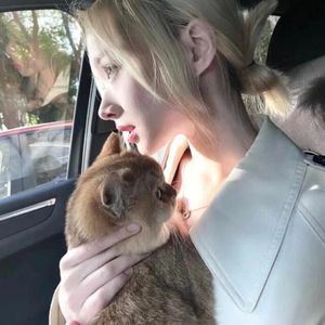 错都错了（翻自 赵乃吉）