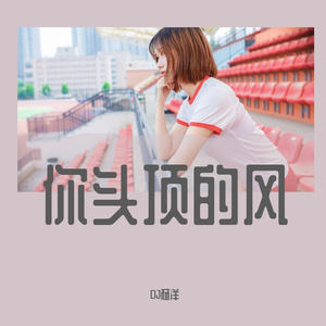 你头顶的风