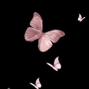 天渊之别（翻自董书含）