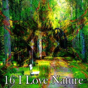 A Walk Through The Garden