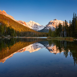 Fusión Armoniosa De Sonidos