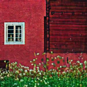 Zinlopkigtxliof Lif Xinotiskli