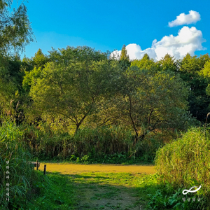 빙글빙글 (Inst.)