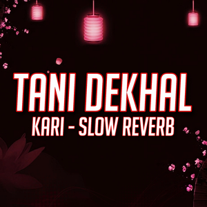 Tani Dekhi Kari Hamra Ke Kam Ji (Slow Reverb)