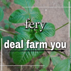 Deal farm you