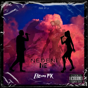 Nedeni Ne?