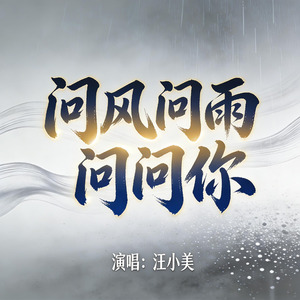 问风问雨问问你