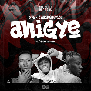 Anigye