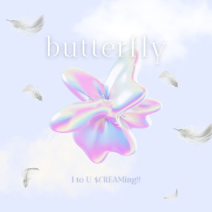 butterfly