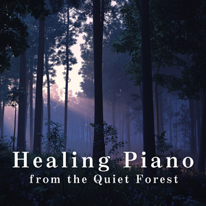 Shadows in the Canopy