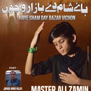 Hye Shaam Dy Bazar Noha Master Ali Zamin