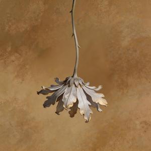 错位亲密（别再后退一点点就可以）