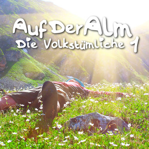 Wo einst die Wiesen noch blühten