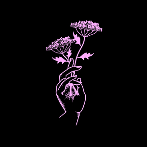 Barbare (Live) [Rockomotives]