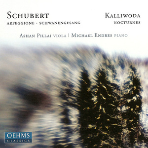 6 Nocturnes, Op. 186:Nocturne No. 5: Adagio con molta espressione