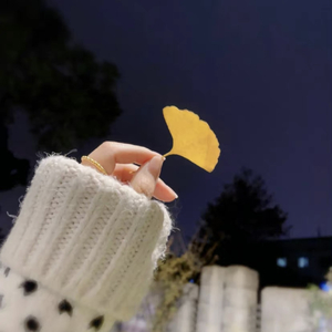 夜阑三更时另类.wav