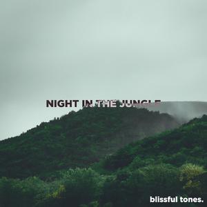 Night In The Jungle
