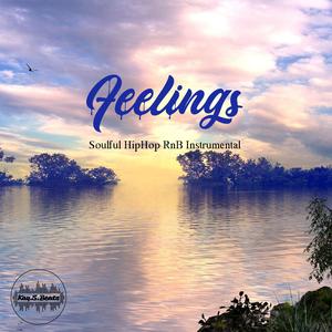 Feelings (Soulful HipHop RnB Instrumental)
