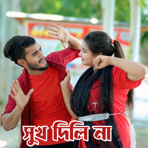 সুখ দিলি না