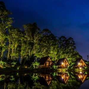 晨曦微露（超市背景轻音乐）
