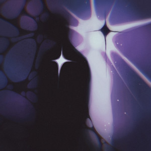 Bfap (Prod. By ****thecurlyboy)