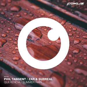 Summer Rain
