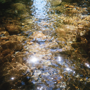 Dazed (Live Session) (Live in Echo Park, CA August 2021)