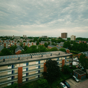 ZOMER VIPE