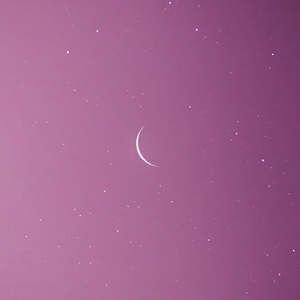 来自天堂的魔鬼2