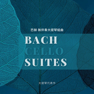 第一号无伴奏大提琴 V.小步舞曲