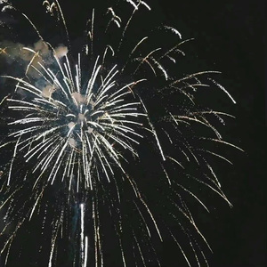 小霞-我的美丽（李拯救 Remix）