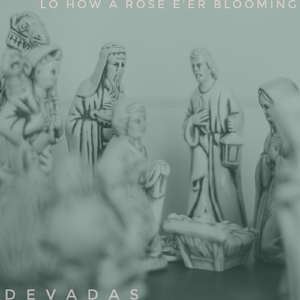 Lo How a Rose E'er Blooming