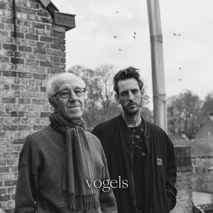 Vogels (feat. Raymond van het Groenewoud)