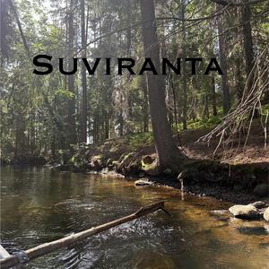 Joulutaivas tähtineen (LIVE)