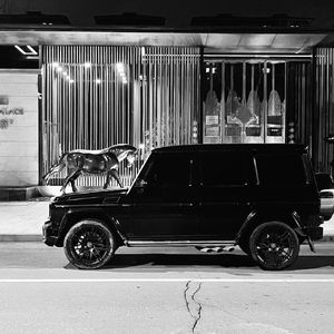 Zandonai - Gimme Love (Deep House Mix)（翻自 Zandonai）